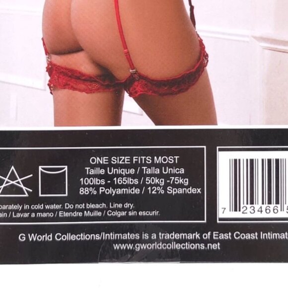 NWB G WORLD Intimates 3pc Lace Slip-In Garter Corset Top & Thong GW1959 ONE SIZE - Picture 6 of 6